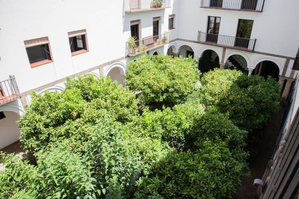 Zona 1 Santa Cruz Vistas Alcazares Parking Privado * Séville